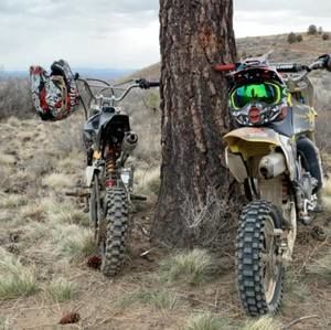 Meet your Posher, Cooper